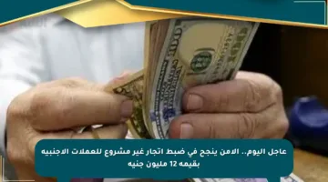 عاجل اليوم.. الأمن ينجح في ضبط اتجار غير مشروع للعملات الأجنبية بقيمة 12 مليون جنيه